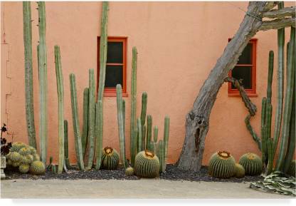 Trademark Fine Art Adobe Cactus2 Canvas Art