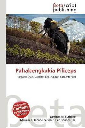 Pahabengkakia Piliceps