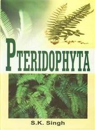 Pteridophyta