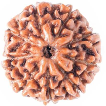 vastu nakshatra 9 mukhi Rudraksha पीतल पेंडेंट