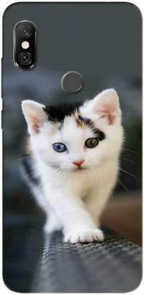METOO Back Cover for Redmi Mi A2/ Mi A2, Cat Design Printed Back Cover Print : 84