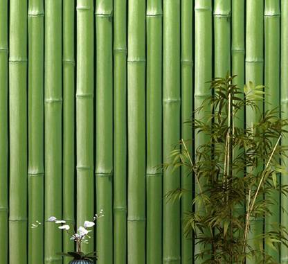 akadeco Classics Green Wallpaper