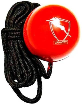 TS Playy Leather Cricket Hanging Ball for Practice Handball