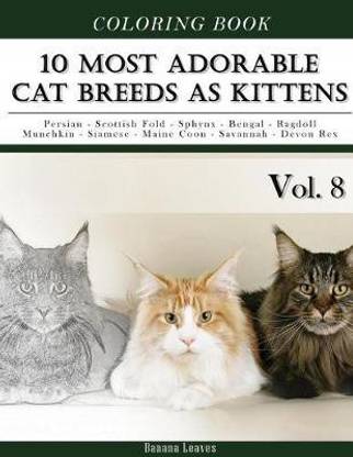 10 Most Adorable Cat Breeds As Kittens-Animal Coloring Book included Persian - Scottish Fold - Sphynx - Bengal - Ragdoll - Munchkin - Siamese - Maine Coon - Savannah - Devon Rex