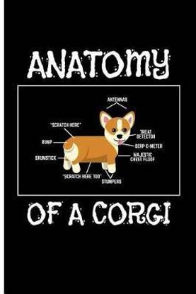 Anatomy of a Corgi Antennas "scratch Here" Rump Drumstick "scratch Here Too"