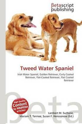 Tweed Water Spaniel