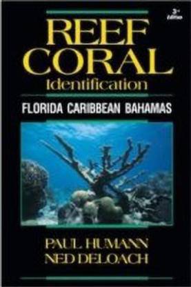 Reef Coral Identification