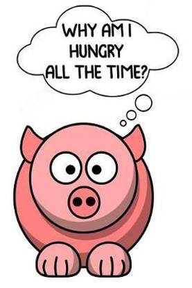 Why I Am Hungry All the Time