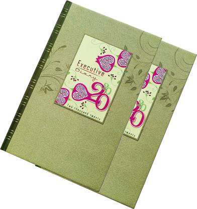 Excel Pack of 2 Planner Organizer Personal Diary 2020 Regular Diary Ruled 365 Pages