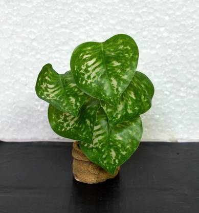 VATIKA Artificial Natum) Bonsai Artificial Plant