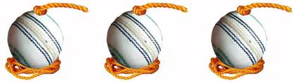 L'AVENIR Cricket Bat Knocking / Practice / Training / Hanging Ball Cricket Training Ball