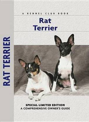 Rat Terrier