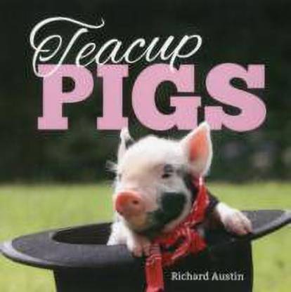 Teacup Pigs