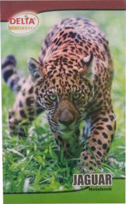 DELTA Register Regular Notebook Both Side Ruled 180 Pages