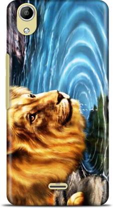 Flipkart SmartBuy Back Cover for Micromax Canvas Selfie Lens Q345