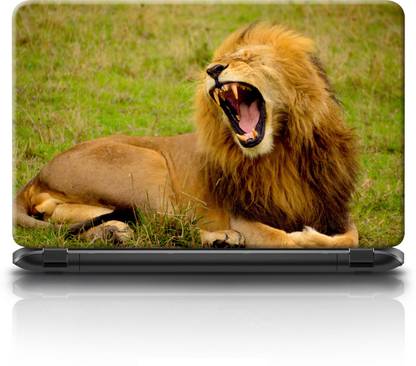 WALL STICKS WSL2111 PVC Laptop Decal 15.6
