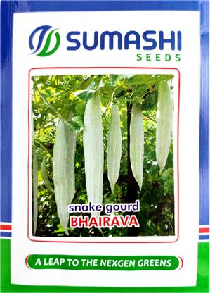 SUMASHI SNAKE GOURD Seed