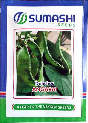 SUMASHI DOLICHOS Seed