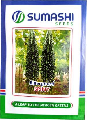 SUMASHI BITTER GOURD Seed