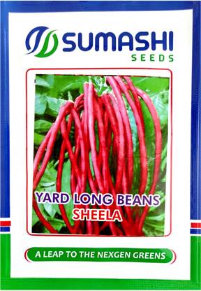 SUMASHI BEANS Seed