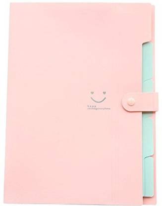 Techtest 5 Pocket A4 Paper Expanding Pink File Folder Accordion Document Organizer , Files and Document Folder , Files , Files Folders for Certificates , Files for Students , Folder , Folder Bag , Office Files and Folders , Office Documents File Holder , Expanding File , Folder for School EXPANDING FILE FOLDER