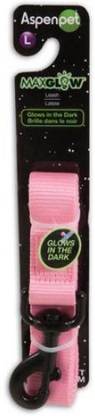 Aspen Dog Leash