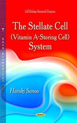 Stellate Cell (Vitamin A-Storing Cell) System