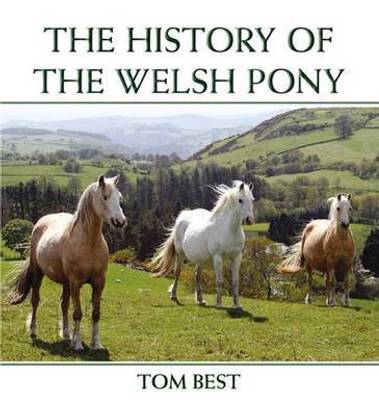 The History of the Welsh Pony