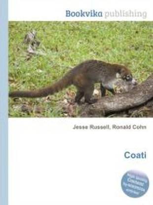 Coati