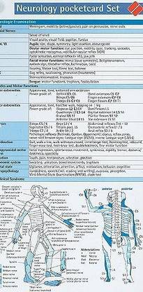 Neurology Pocketcard Set
