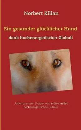 Ein gesunder gluecklicher Hund dank hochenergetischer Globuli