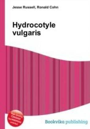 Hydrocotyle Vulgaris