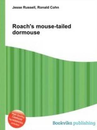 Roach's Mouse-Tailed Dormouse