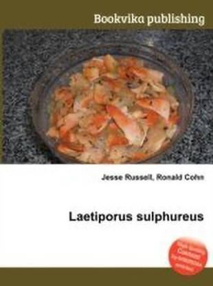 Laetiporus Sulphureus