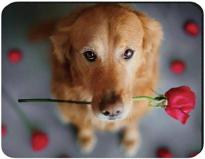 Flipkart SmartBuy MP46 Non Slip Base Mousepad