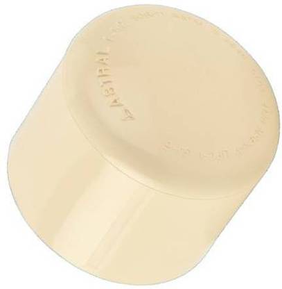 ASTRAL CPVC Plastic End Cap 2" 1-Way Cap Pipe Joint