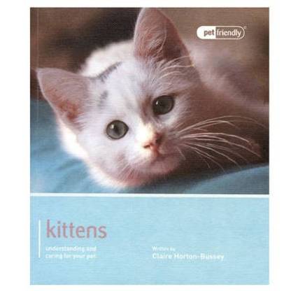 Kitten - Pet Friendly
