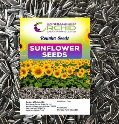 RENUKA SEEDS Sunflower Seeds for Bird 500 Gram, White Striped Sunflower for All Birds 0.5 kg Dry Adult, Young Bird Food