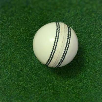 NFSporTech Cricket Balls - T2 White Box of 12 Cricket Leather Ball