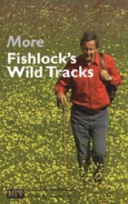 More Wild Tracks