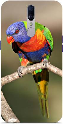 SBS Back Cover for Oppo F11, Oppo F11 Back Cover, Oppo F11 Mobile Back Cover