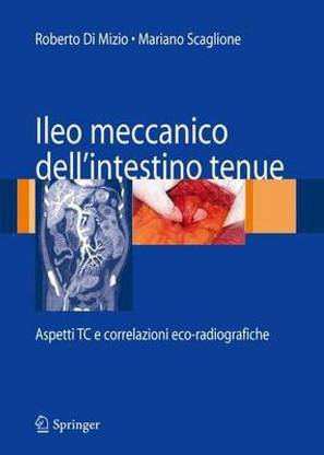 Ileo Meccanico Dell'Intestino Tenue