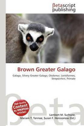 Brown Greater Galago