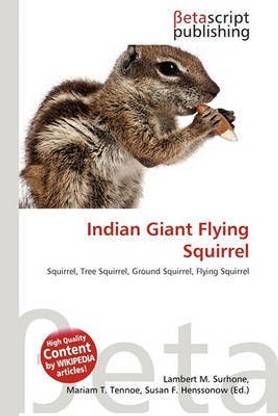 Indian Giant Flying Squirrel
