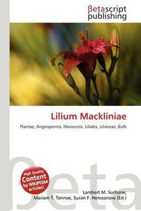 Lilium Mackliniae