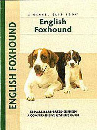 English Foxhound