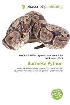 Burmese Python