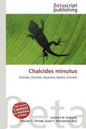 Chalcides Minutus