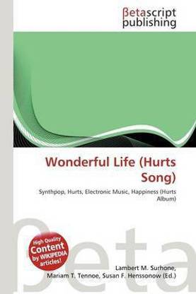 Wonderful Life (Hurts Song)