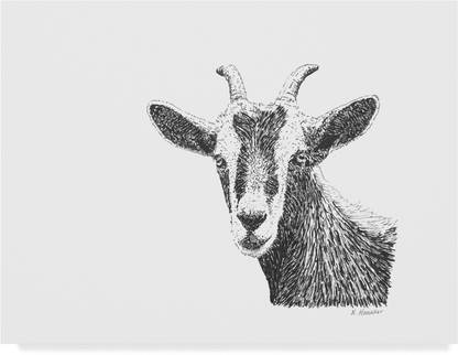 Trademark Fine Art Goat Line Art
